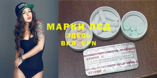 индика Губаха